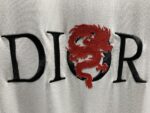 DIOR(ディオール) 偽物 龍トーテム起毛刺繍Tシャツ 通販