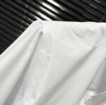 Dior(ディオール) 偽物 芸能人 龍年タイプアニメ恐竜刺繍長袖シャツ