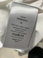 DIOR(ディオール) 偽物 龍トーテム起毛刺繍Tシャツ 通販