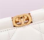 DIOR(ディオール)2024春新作 Caro Colle Noire チェーンハンドバッグ