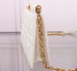 DIOR(ディオール)2024春新作 Caro Colle Noire チェーンハンドバッグ