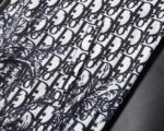 DIOR (ディオール) 2024新作 芸能人 アルファベットプリントジャケット 激安通販
