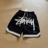 STUSSY(ステューシー) n級品 ビッグロゴ刺しゅうビーチハーフパンツ 激安通販