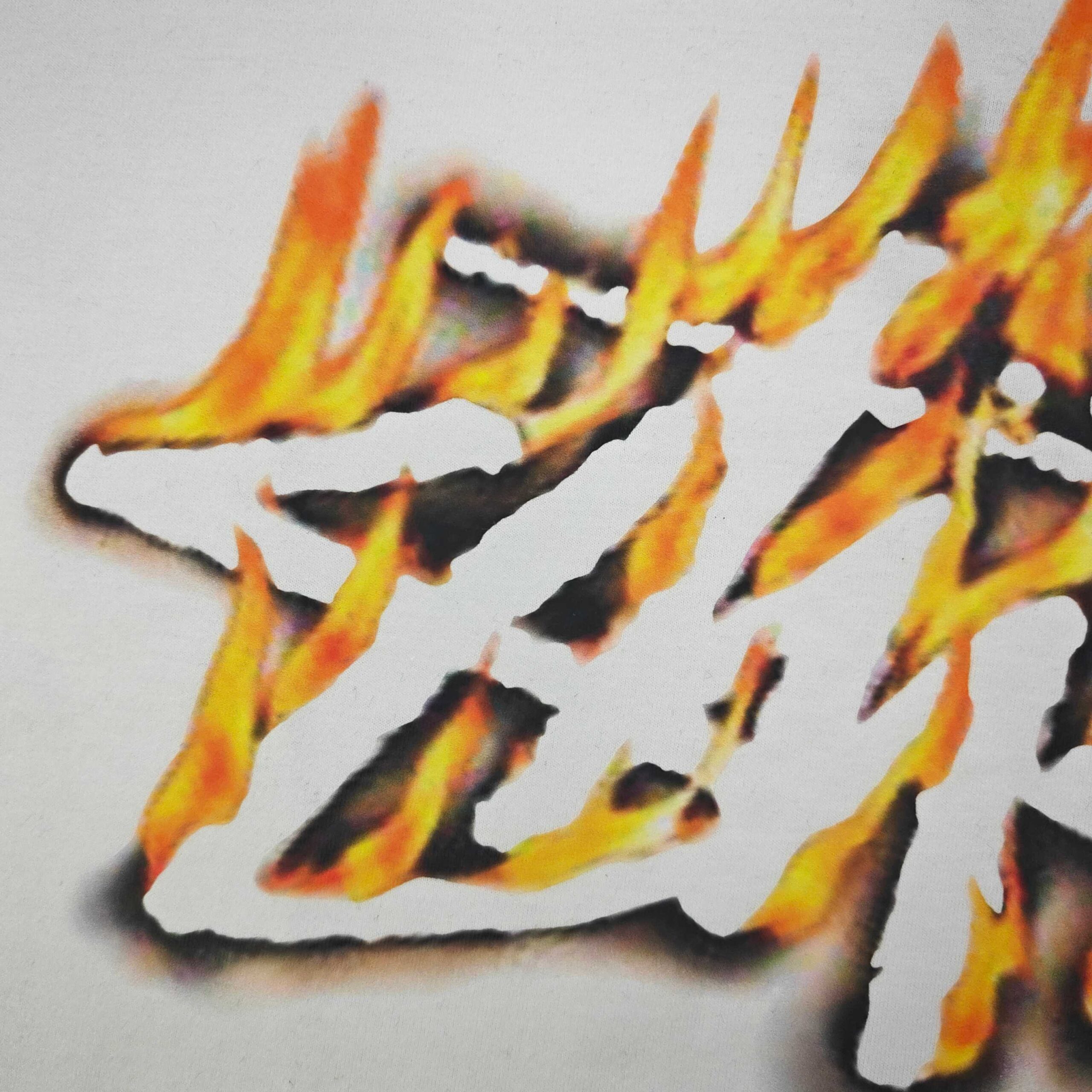 ステューシー コピー 炎フレイムロゴTシャツ 迫力あるストリート映えデザイン｜スーパーコピー服